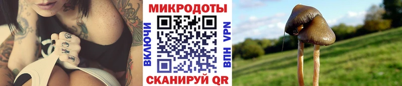Псилоцибиновые грибы MAGIC MUSHROOMS  Купить где  Таштагол 
